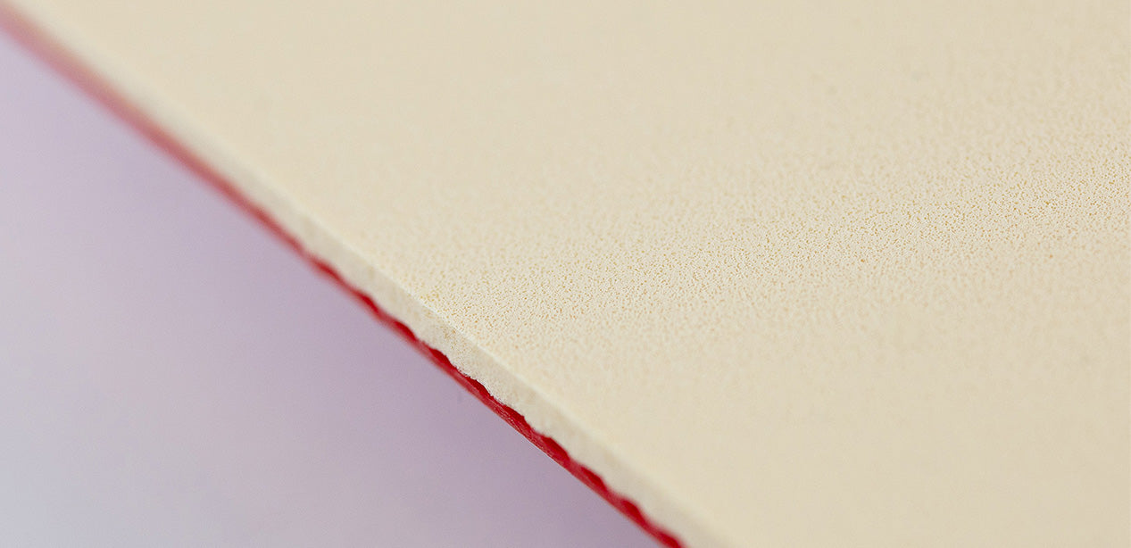 Plasma 500S sponge