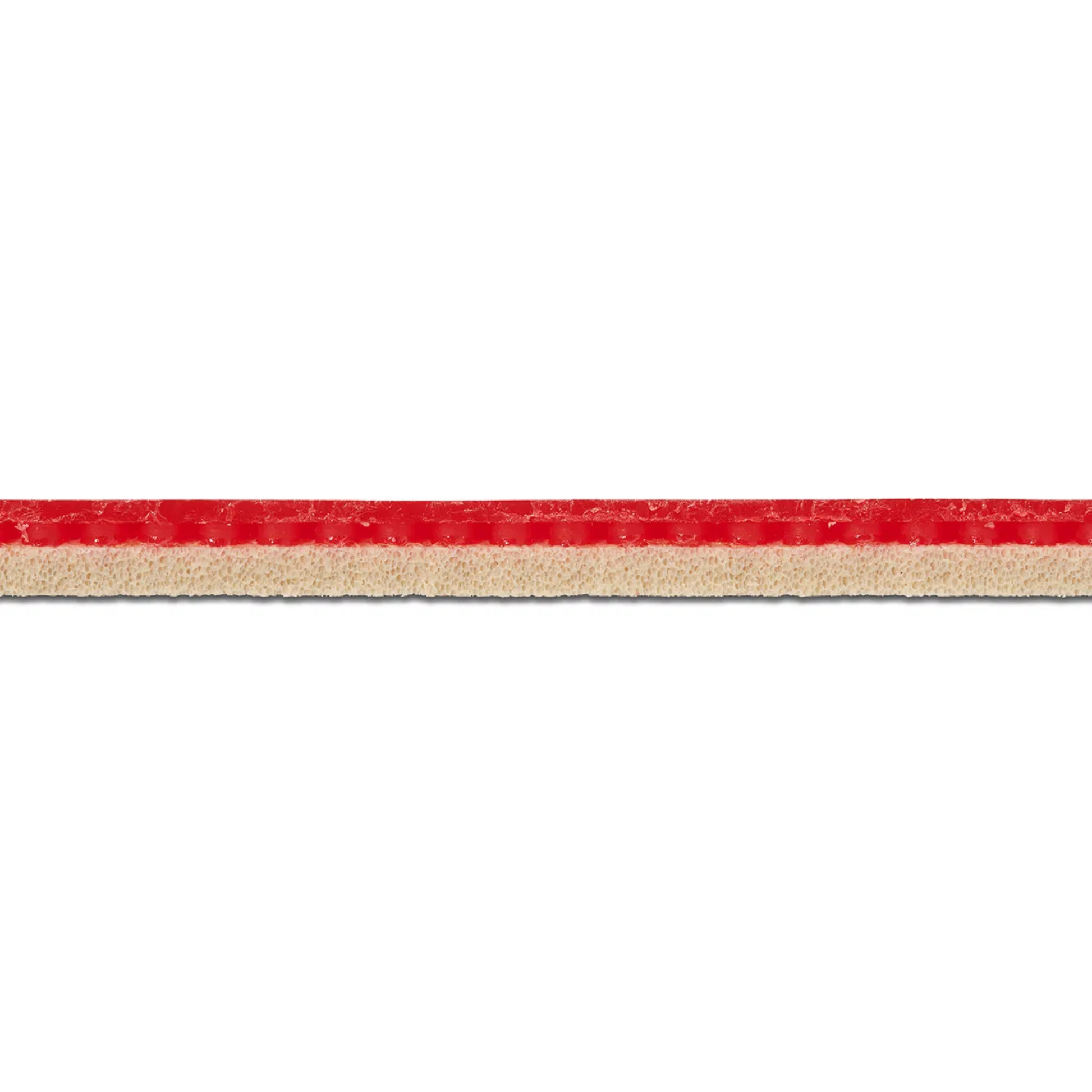 Yasaka Rakza Z rubber sponge cross section